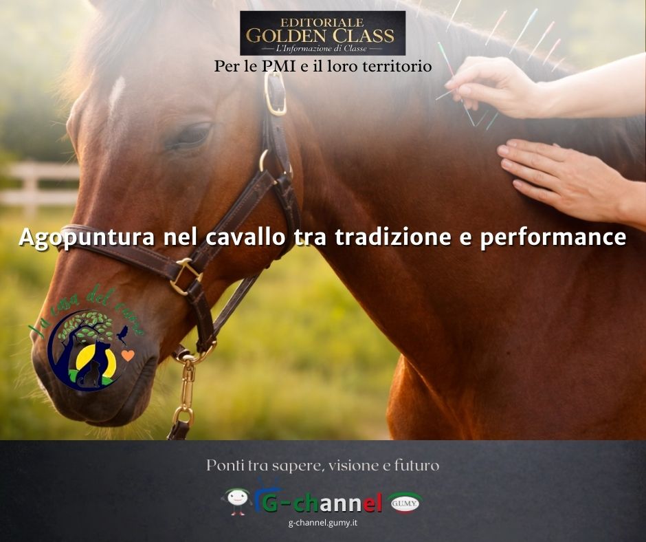 La Casa del Cuore: agopuntura nel cavallo tra tradizione e performance